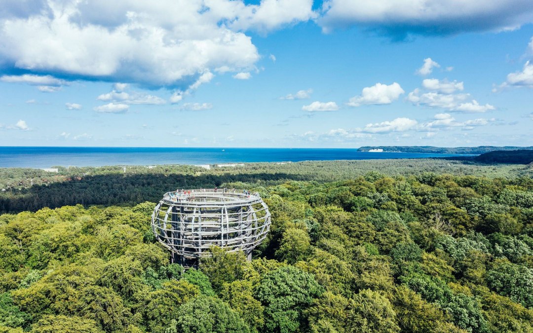 Treetop walk at the Rügen Natural Heritage Center from the air // © TMV/Gänsicke Treetop walk at the Rügen Natural Heritage Center from the air // © TMV/Gänsicke