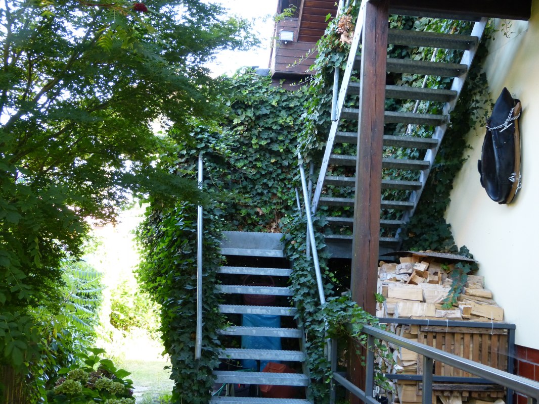 AufFEWO, © Ambros AufFEWO, © Ambros