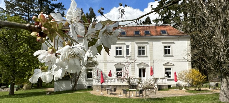 &copy; Hotel Hullerbusch