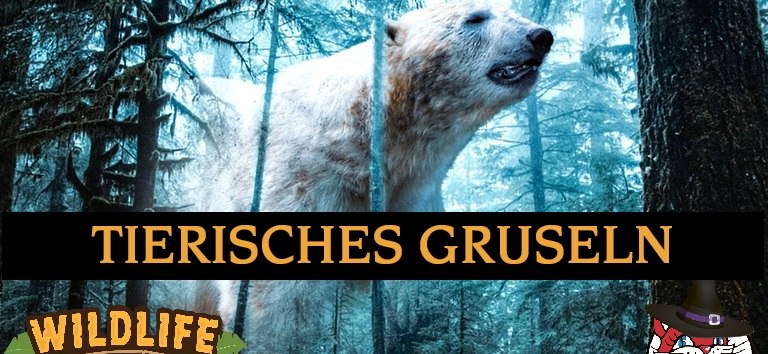 © tierisches_gruseln_co_pixabay.jpg