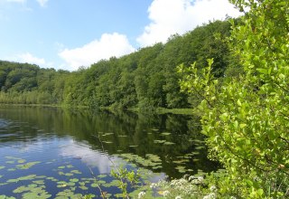 © Biosphärenreservatsamt Südost-Rügen