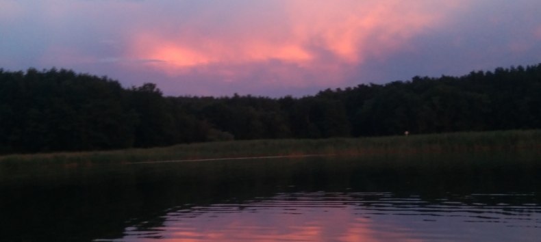 Mit Sonnenuntergang erwachen die Tiere der Nacht // &copy; Sabine G&ouml;rmar