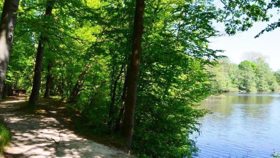 Naturalny basen w Bekow, © Stadt Hagenow