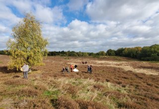 Heidepflege 2025 // © D. Foitlänger Heidepflege 2025 // © D. Foitlänger