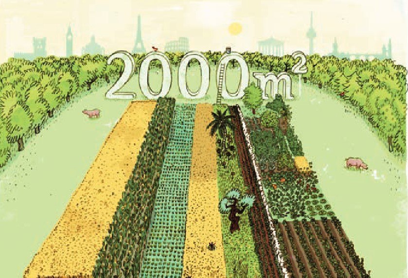 2,000 m² World Field // © Zukunftsstiftung Landwirtschaft 2,000 m² World Field // © Zukunftsstiftung Landwirtschaft