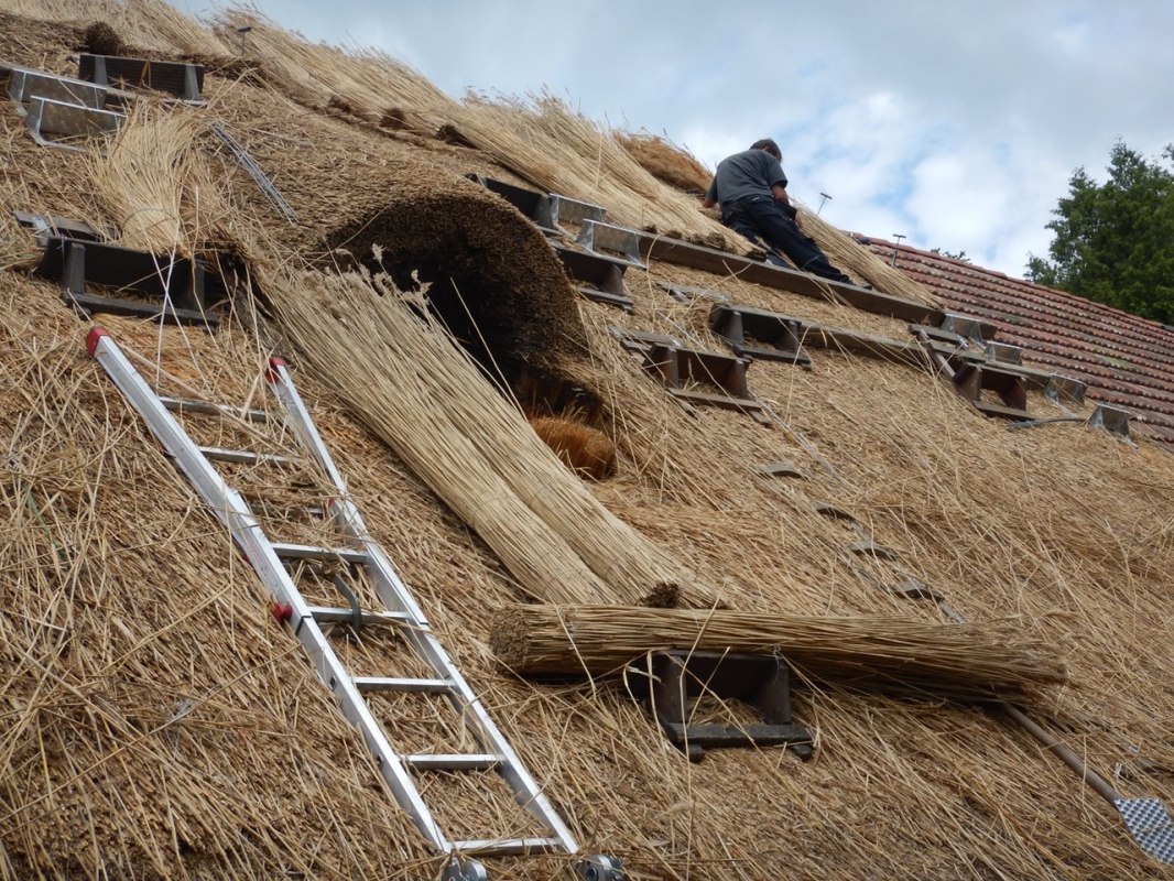 Rietbedekking: Het onderste deel van het dak is al met riet bedekt; op het bovenste deel brengt de rietdekker de rietbundels aan. // © Reetdach-Berlin, Weichert Dachbau GmbH Rietbedekking: Het onderste deel van het dak is al met riet bedekt; op het bovenste deel brengt de rietdekker de rietbundels aan. // © Reetdach-Berlin, Weichert Dachbau GmbH