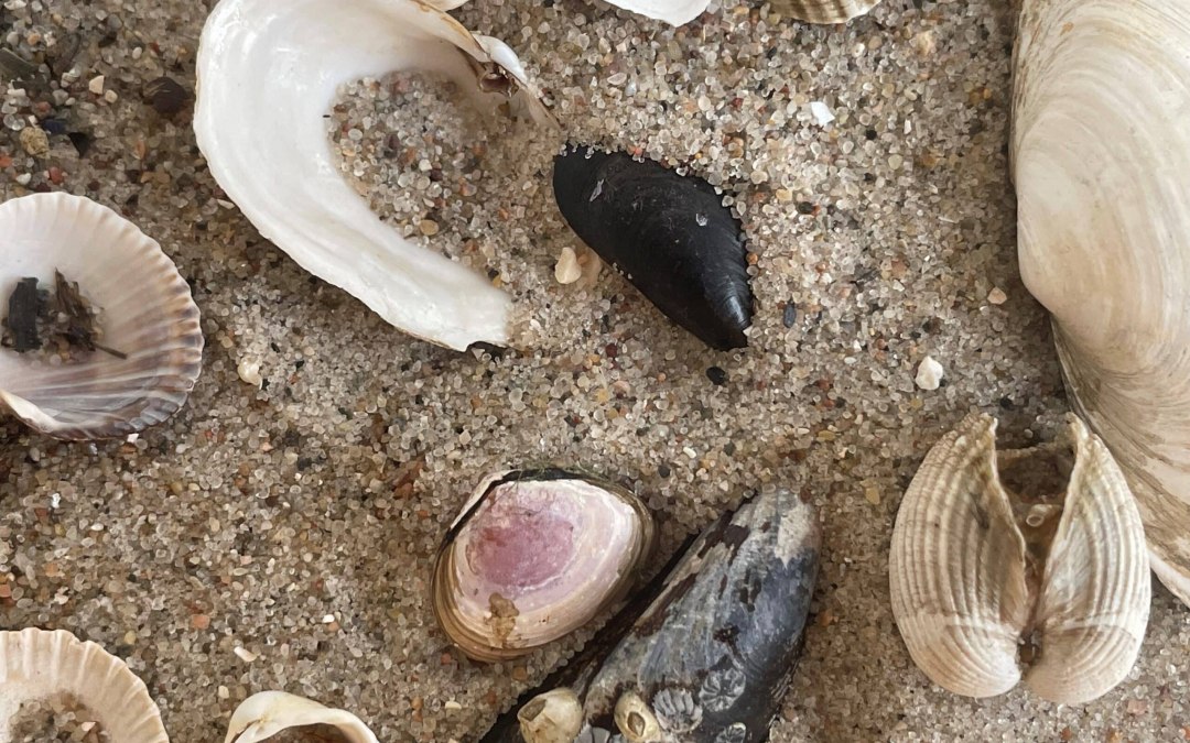 NatureWorkshop: Kreatywne rzeczy z flotsam i jetsam, © Erlebnis Akademie AG/NEZR