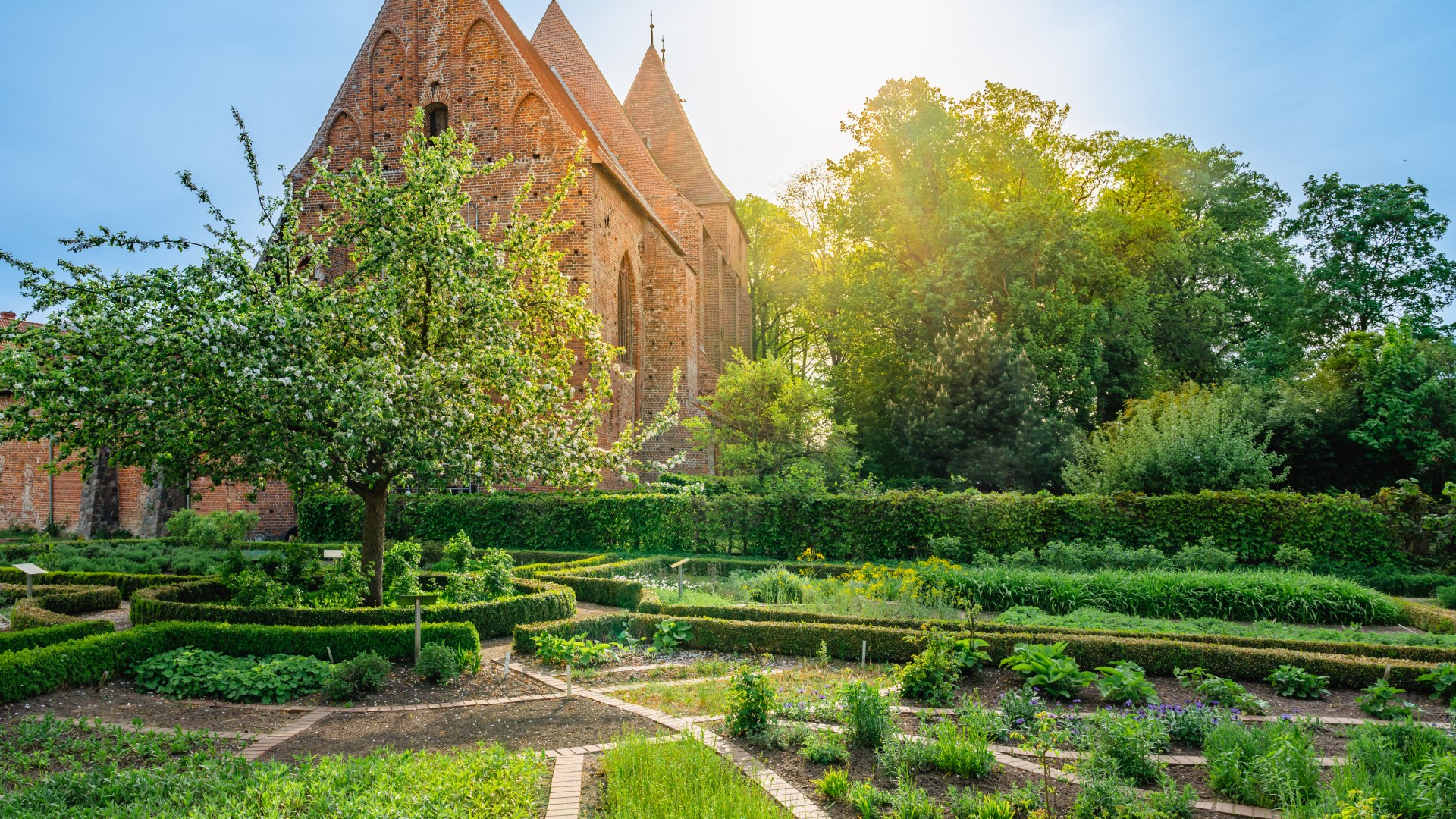 Kloostertuin in Rehna met bijbelse planten, kruiden en een appelboom in het midden van de tuin. Het klooster op de achtergrond.