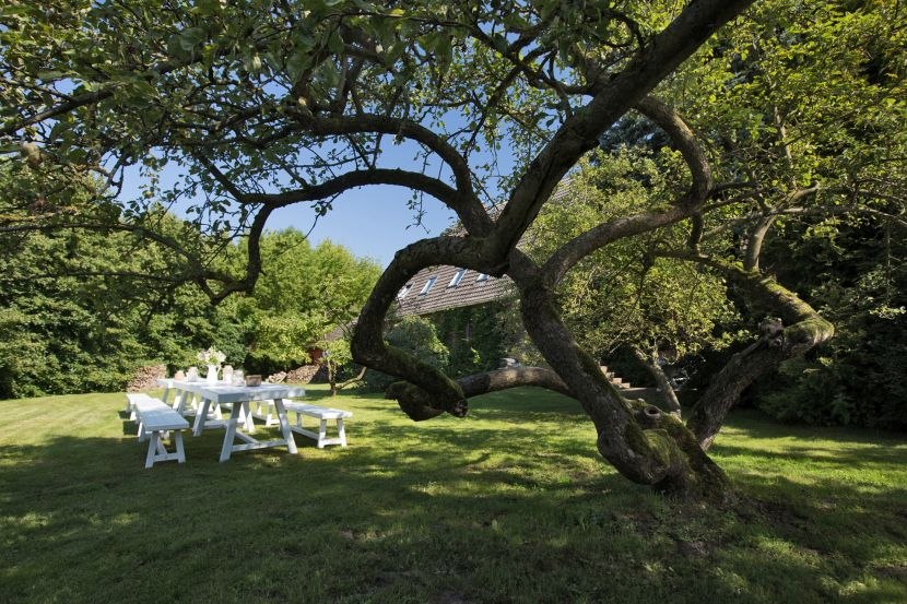 Relax and enjoy, © Linda Tuinier Hofman Relax and enjoy, © Linda Tuinier Hofman