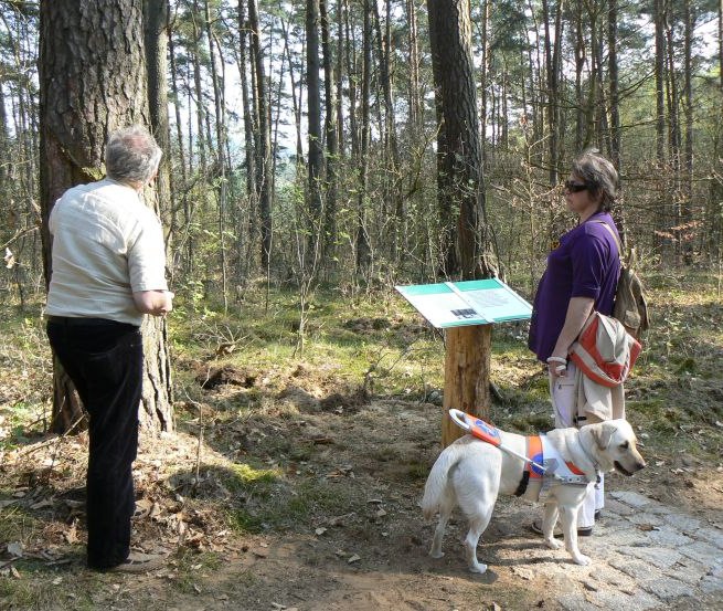 © Nationalparkamt Müritz/Kaiser © Nationalparkamt Müritz/Kaiser