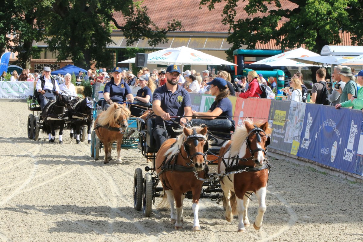 &copy; Sven F&ouml;rst