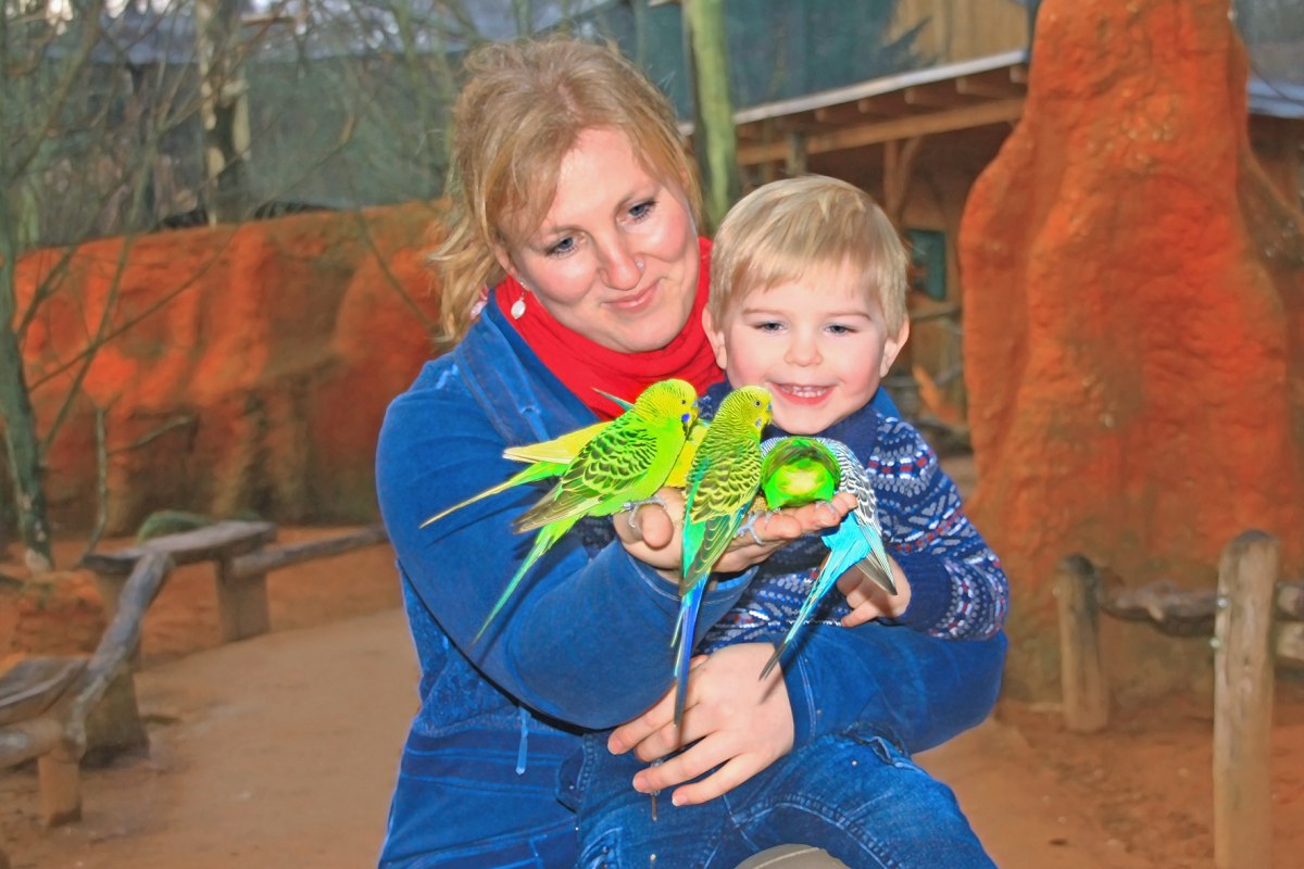 Parkieten voeren in Marlow Bird Park, &copy; Franzi Haase