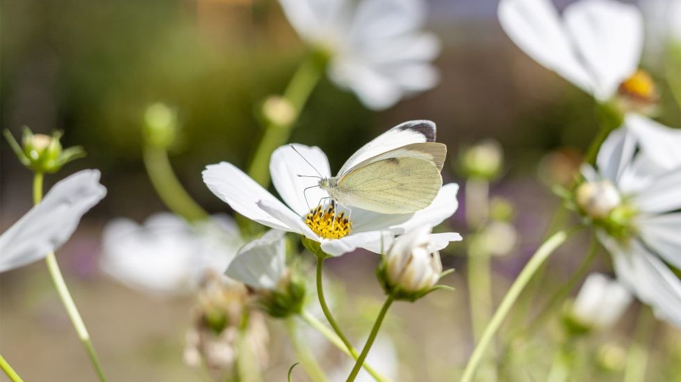 Uitzicht vanuit de studio, &copy; Sabine Ihl