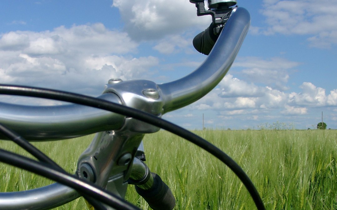 Bicycle handlebars in front of green grain., © Ralf Tetmeyer, radreisen-mecklenburg