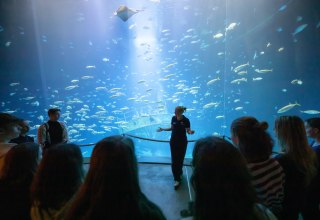 &copy; Anke Neumeister/Deutsches Meeresmuseum