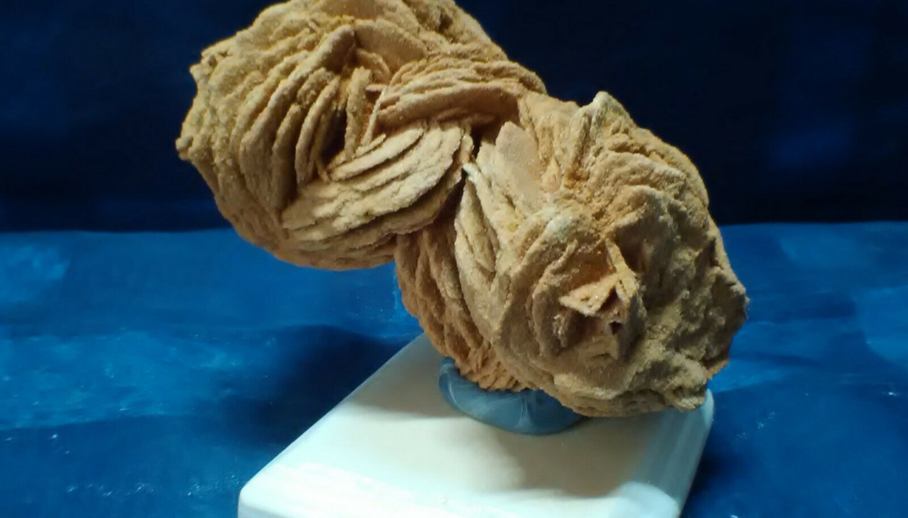 Sandrose from Rockenberg Hesse, © Peter Ramsch