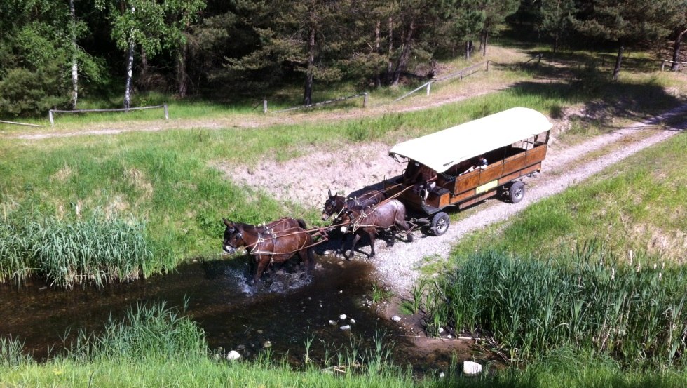 De reis kan spannend zijn. Gaan de dieren door het water?, © Reit- und Fahrtourstik Lychen