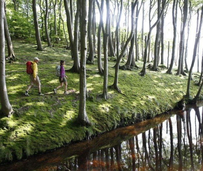 Wanderung durch den Küstenwald bei Lietzow // © MV-T/outdoor-visions.com Wanderung durch den Küstenwald bei Lietzow // © MV-T/outdoor-visions.com