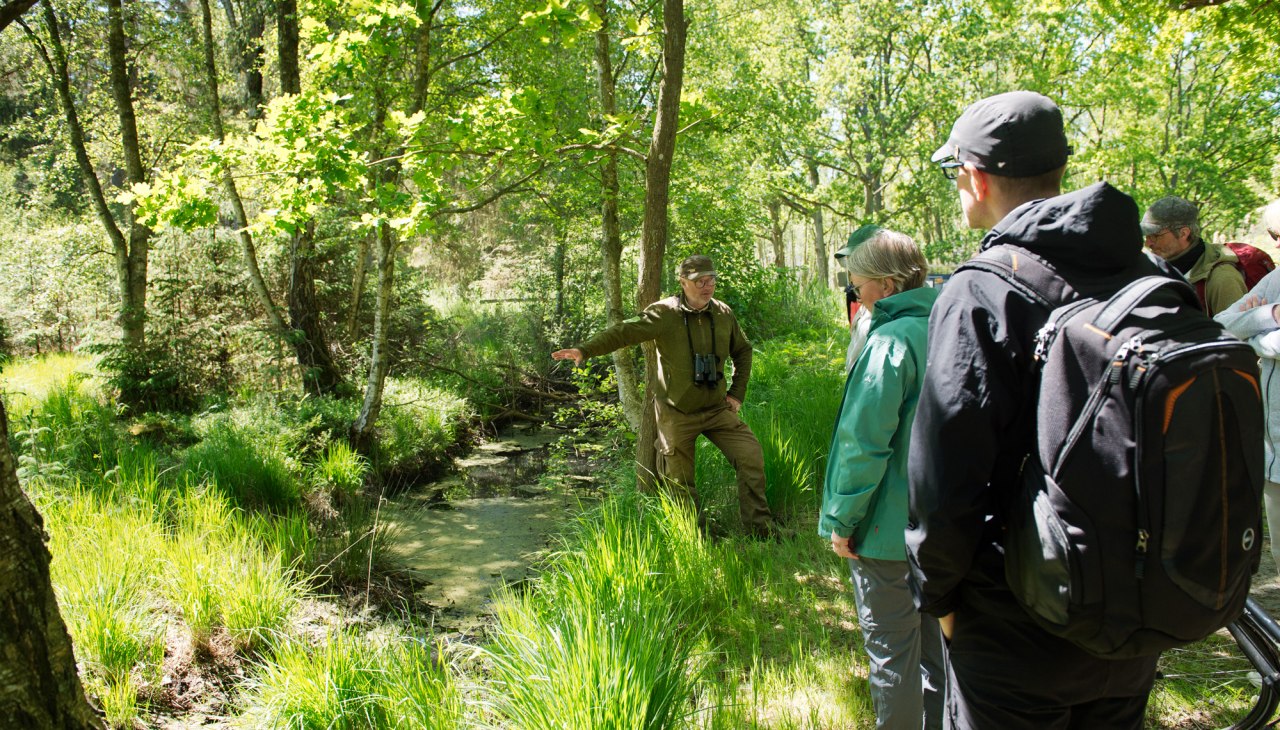 MoorWaldWandel_MTimm_2000, &copy; Nationalparkamt Vorpommern