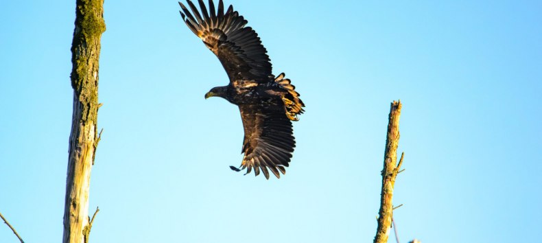 © Gemeinde Ostseebad Glowe