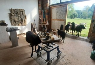 &copy; Wolfgang Baumann