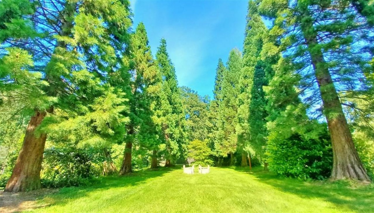 Aleja sekwoi nad Morzem Bałtyckim w parku hotelu Ostsee Hotel-Pension, © Ostsee Hotel-Pension