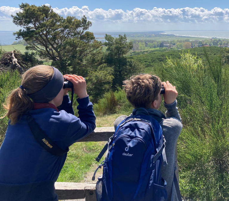 vxqqz1zd, © Katrin Bärwald