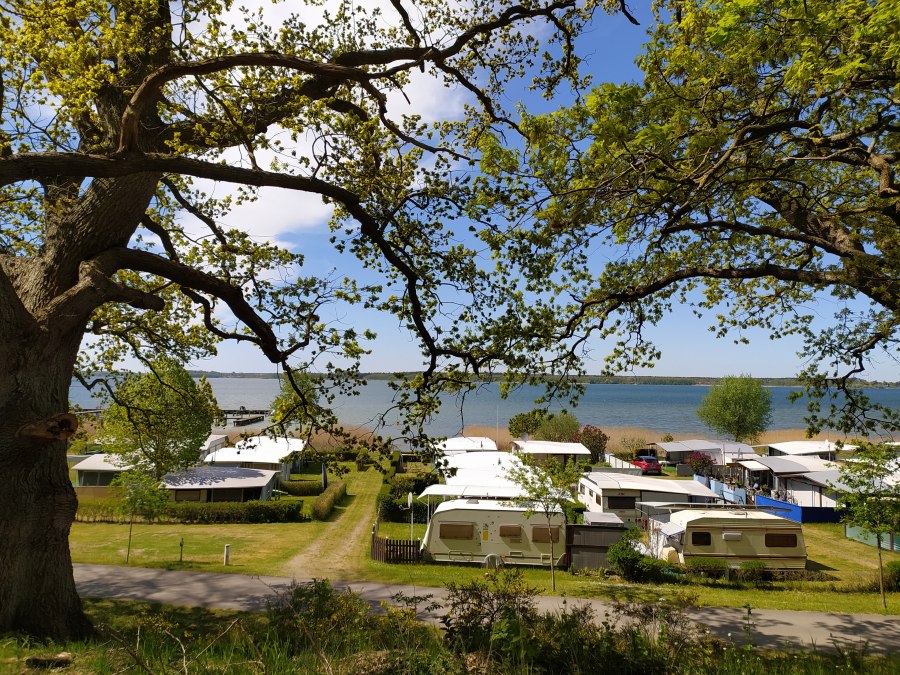 Kemping na wyspie Werder, © TMV/T.Sievert