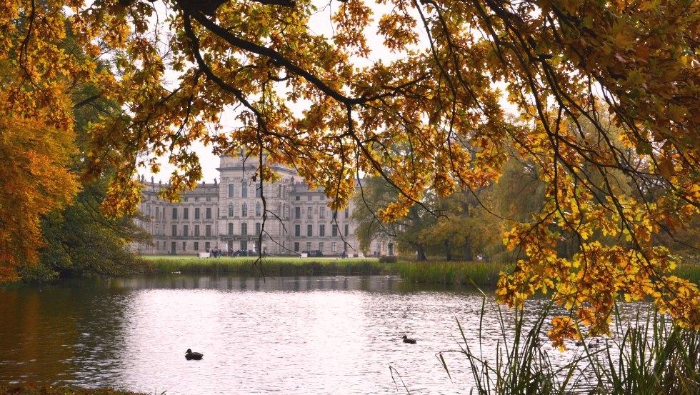 Herfst Ludwigslust kasteelpark boom vijver, © Tourismusverband Mecklenburg-Schwerin