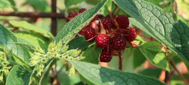 &copy; Bodil Kreativ Skj&ouml;lven (pixabay)