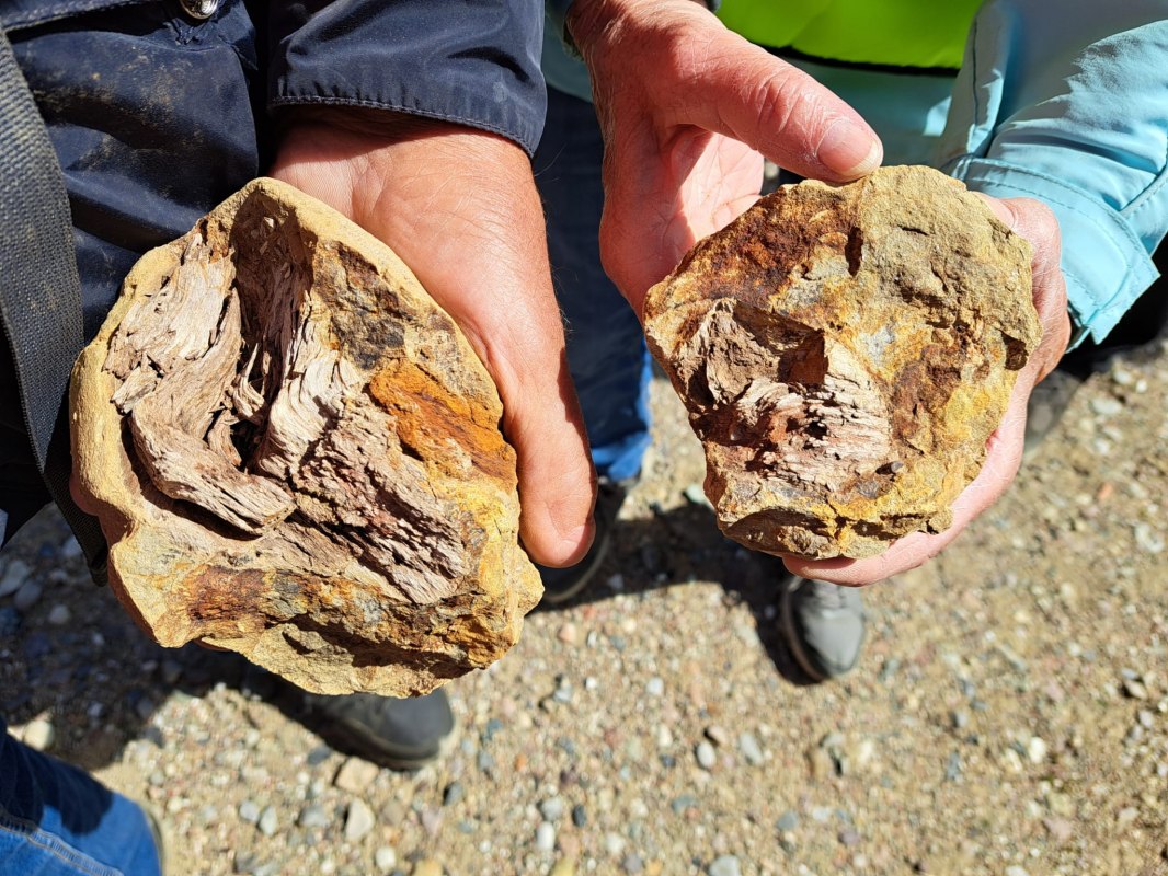 26-05-09 Wondere wereld van stenen, GMZ, &copy; C