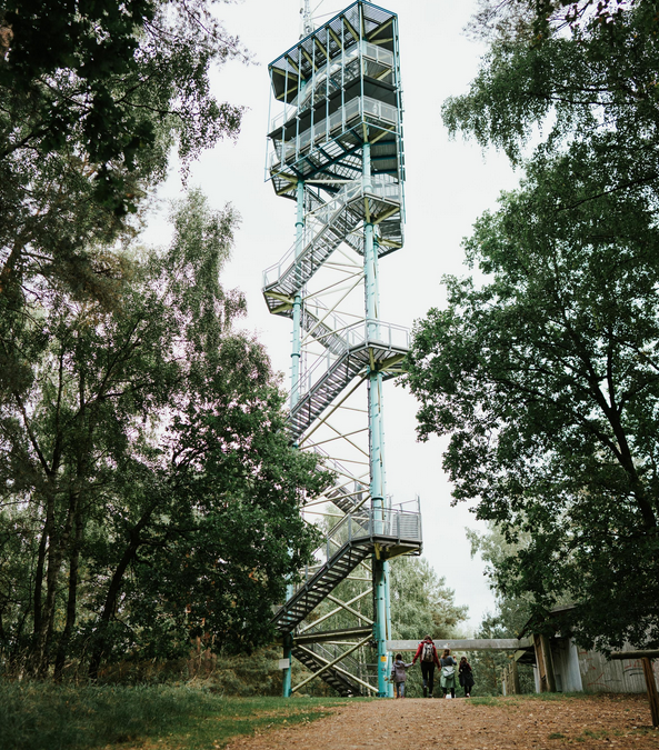Käflingsbergturm, © 1000seen.de