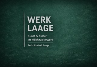 &copy; werk laage