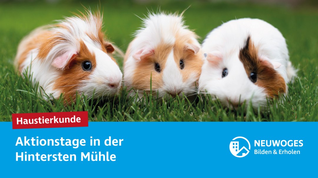 neuw-group_external-coming_to_animal_home_action_days-24-pet_lore, © Neuwoges