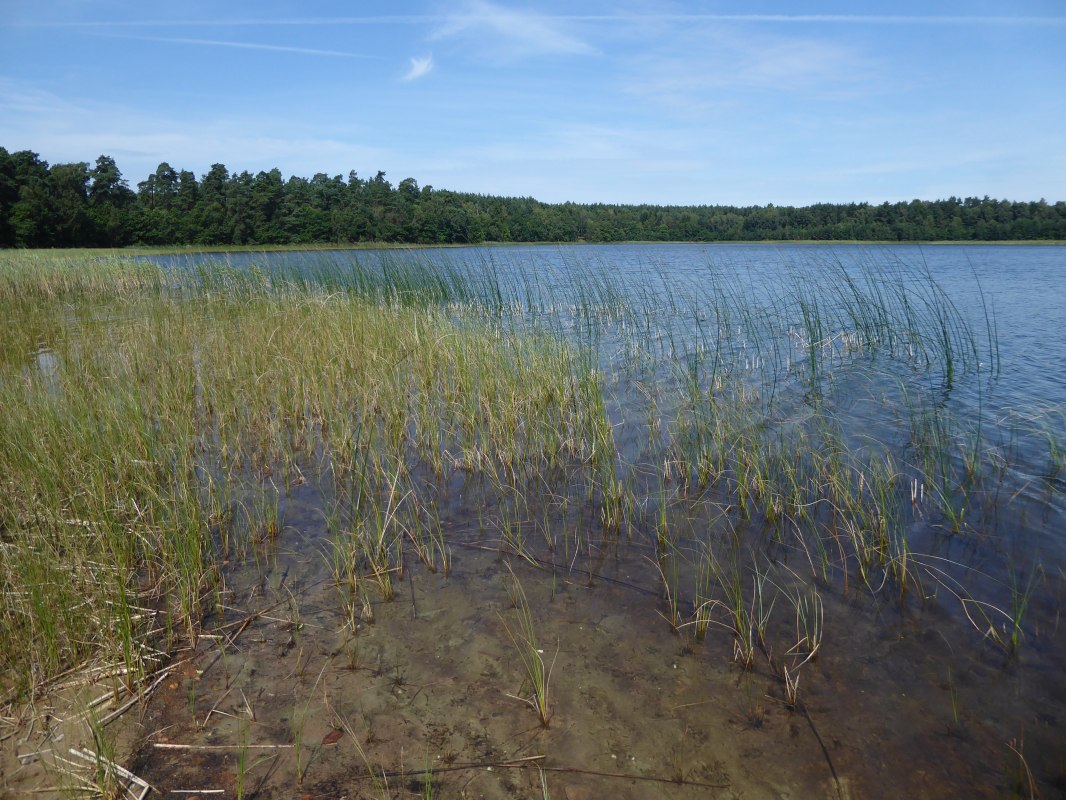 © Ralf Koch © Ralf Koch