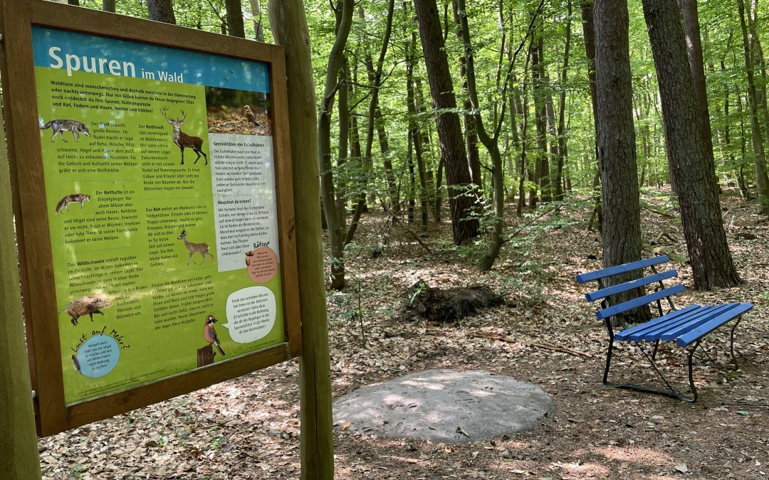 Who walked there? We're going in search of clues!, © TZ Südliche Boddenküste