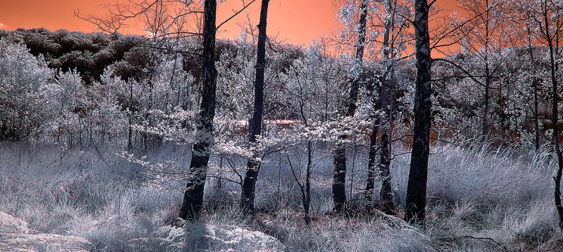 © Art Photo Verlag Klaus Ender