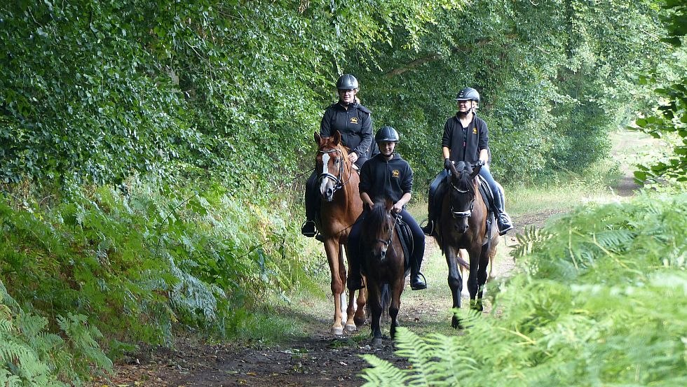 Baltic Sea landscapes // &copy; Bernsteinreiter