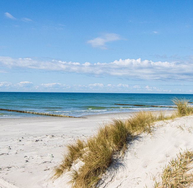 Erleben Sie die Insel Hiddensee bei einem Tagesausflug ab Stralsund. // © Weiße Flotte GmbH Erleben Sie die Insel Hiddensee bei einem Tagesausflug ab Stralsund. // © Weiße Flotte GmbH