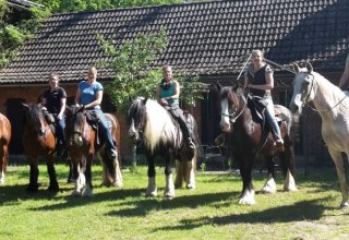 Paard & paard - welkom op de biologische belevenisboerderij Grittel // © Bio Erlebnishof Grittel/ Nicole Albs Paard & paard - welkom op de biologische belevenisboerderij Grittel // © Bio Erlebnishof Grittel/ Nicole Albs