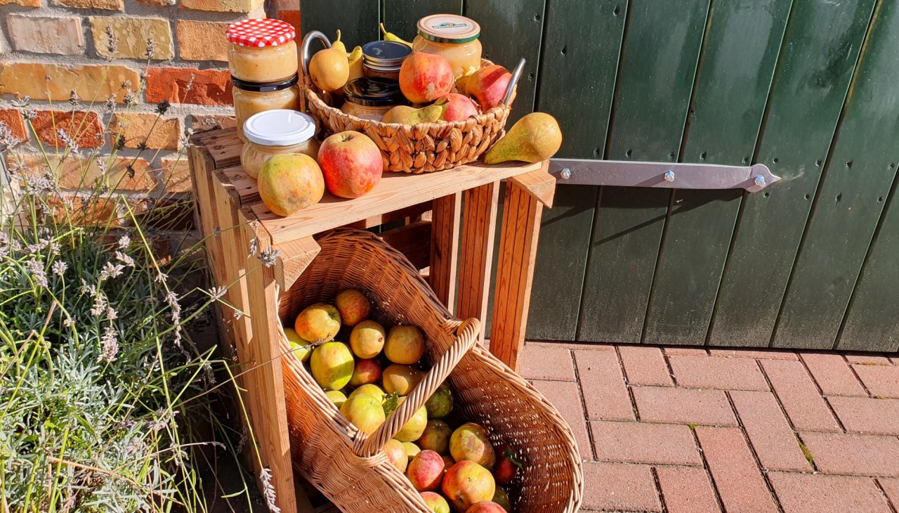 Appeldag . fresh apple juice from the press and variety identification, © S. Maus