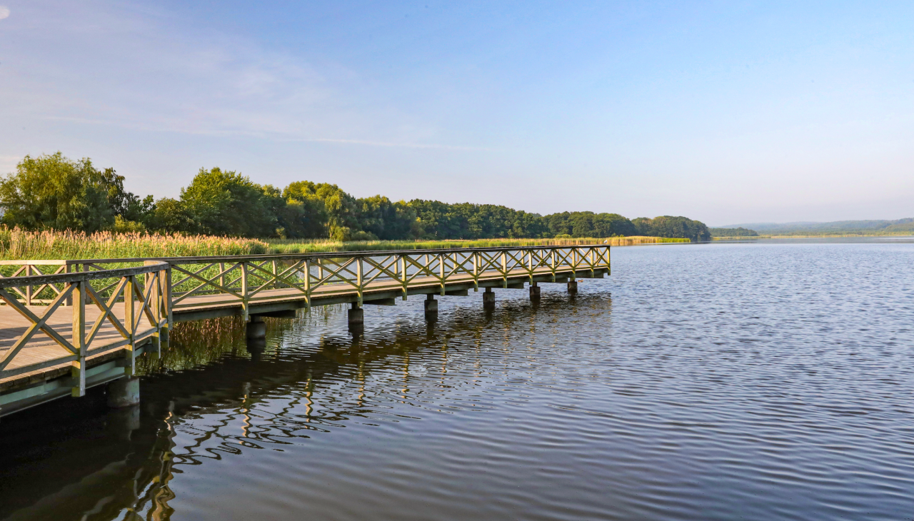 park-am-schmachter-see_2, © TMV/Gohlke