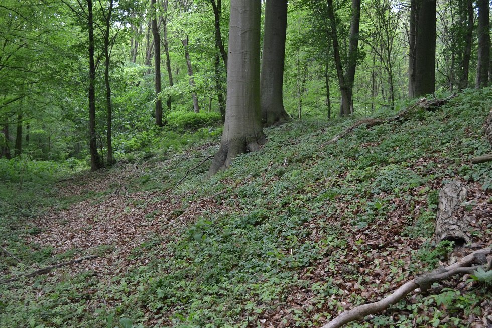 Wzniesienie Schwedenschanze od strony lądu, © Lutz Werner