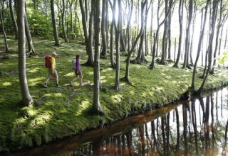 Wanderung durch den Küstenwald bei Lietzow // © MV-T/outdoor-visions.com Wanderung durch den Küstenwald bei Lietzow // © MV-T/outdoor-visions.com