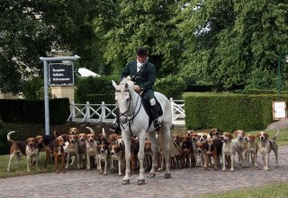 © Mecklenburger Meute © Mecklenburger Meute