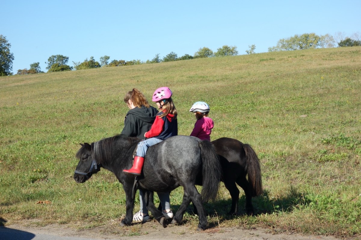 Lisa rijdt pony met Franklin en Tomy, &copy; Anja Debniak