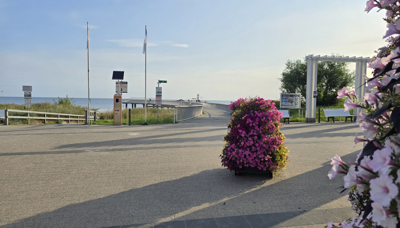 &copy; 20250807_073814.jpg