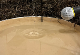 © Jugendkunstschule Vorpommern-Rügen e.V. © Jugendkunstschule Vorpommern-Rügen e.V.