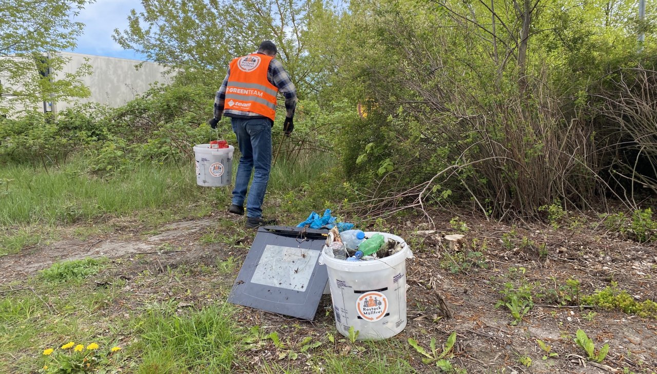 Helper collects garbage in green area, &copy; Rostock M&uuml;llfrei e.V.