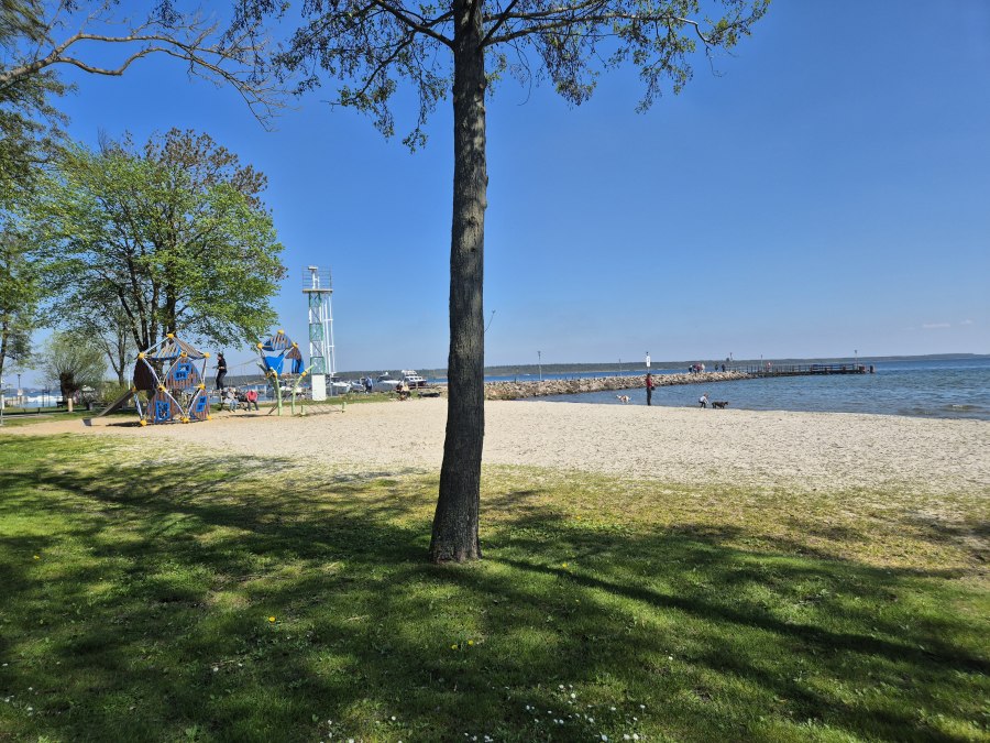 20250420_141059, © Gina Schulenberg